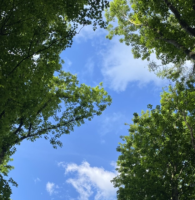 SONNENSCHEIN