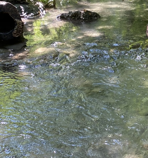 BLEIBE IM FLUSS